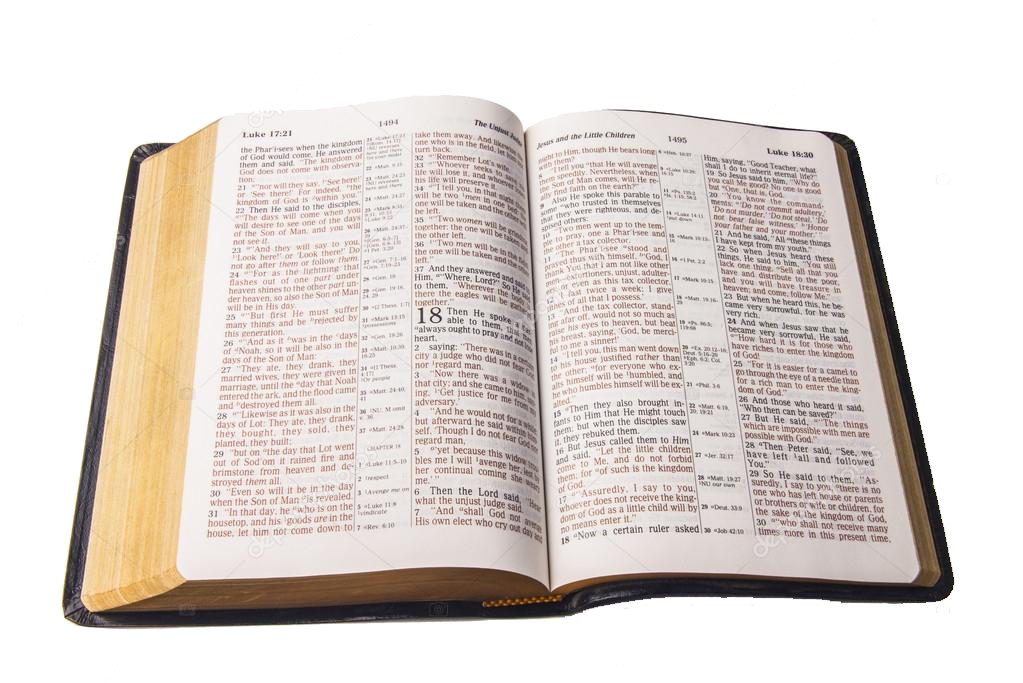 TEST open bible image